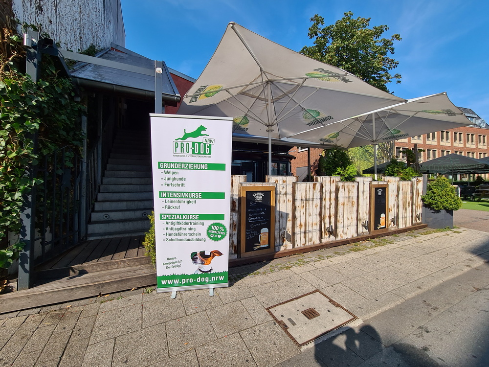 Erste Hilfe für Hunde 2 2020 Erste Hilf Kurs Hund HSZ Bocholt 001