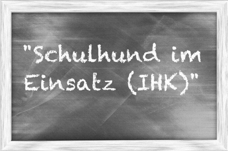 Schulhund-Ausbildung 2 55536541 685539701859146 6034909533166370816 n e1657629751756