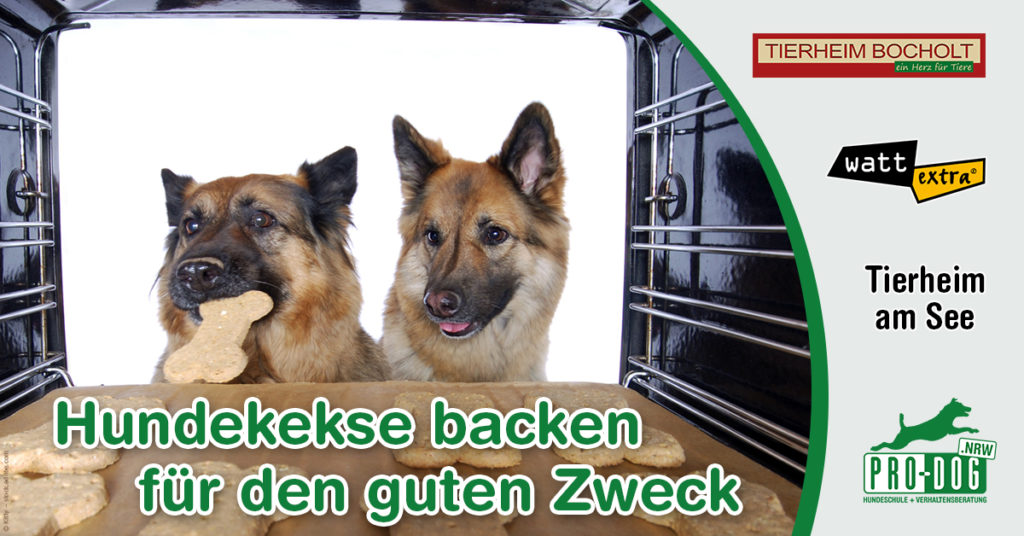 Hundekekse backen für den Guten Zweck! 11 banner kekse backen 1