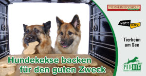Aktuelles 45 banner kekse backen 1