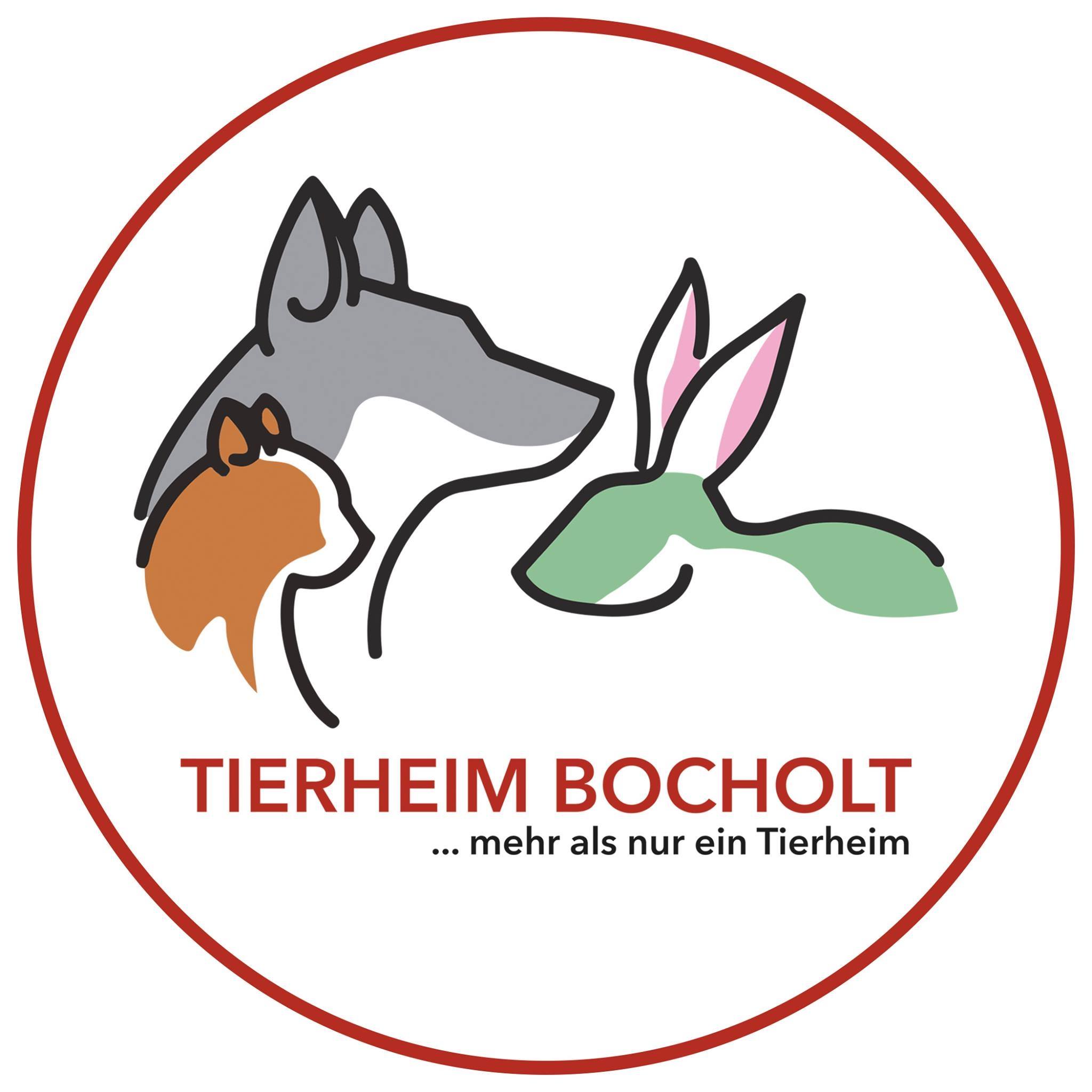 Spendenlauf / Social-Walk für das Bocholter Tierheim 1 125924476 3632812716765514 5299226597440999699 n