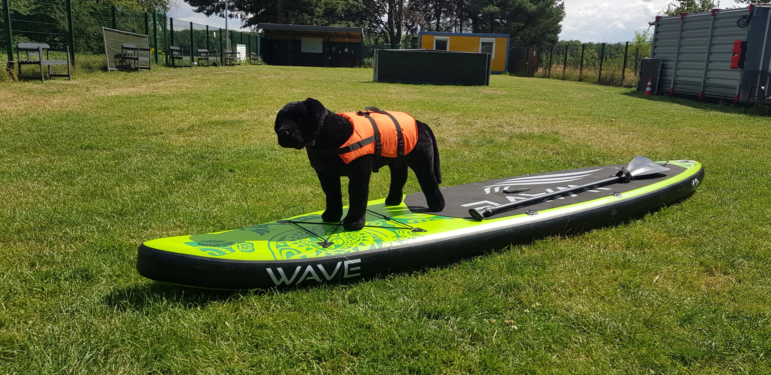 Veranstaltungen 1 Stand-Up-Paddling mit Hund (SUP mit Hund)