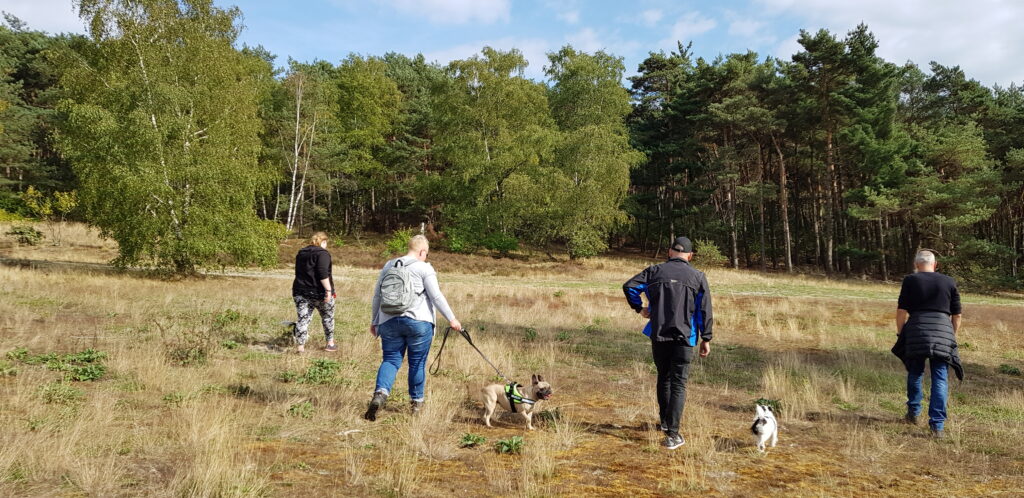 🌿 Social Walk – Entspannt unterwegs mit deinem Hund 5 20180915 153316