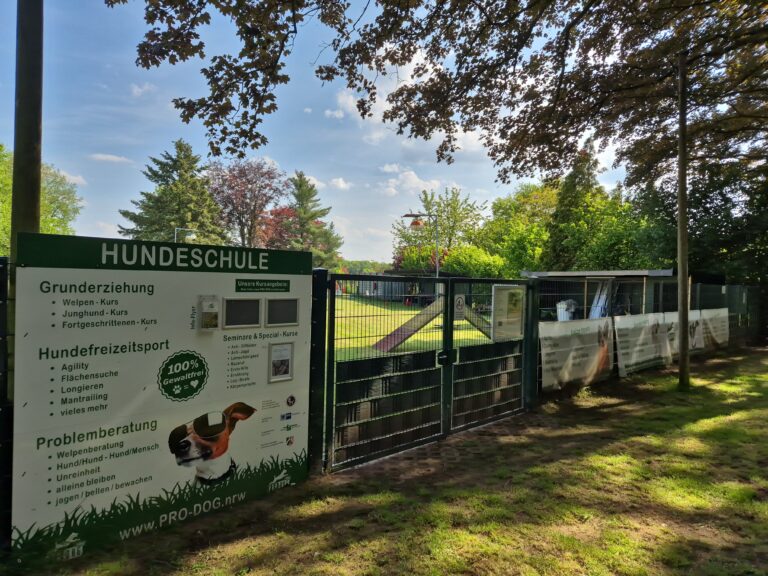 Hundeschule 6 IMG 20240512 162154