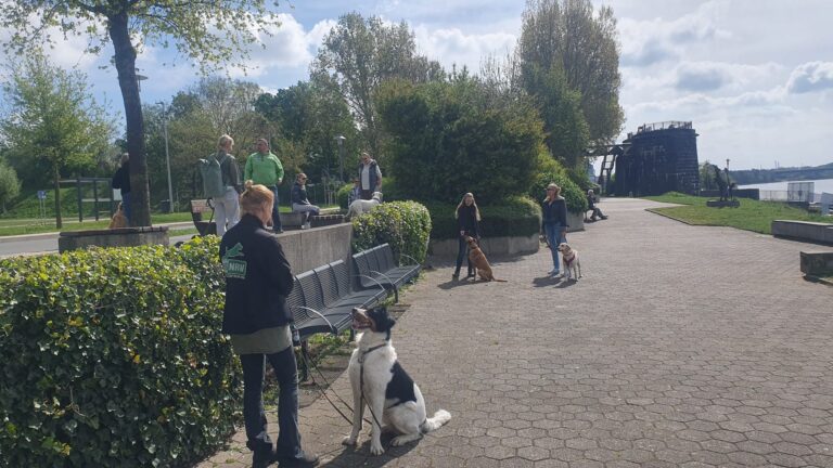 Hundeschule 7 WhatsApp Image 2025 04 19 at 14.27.213