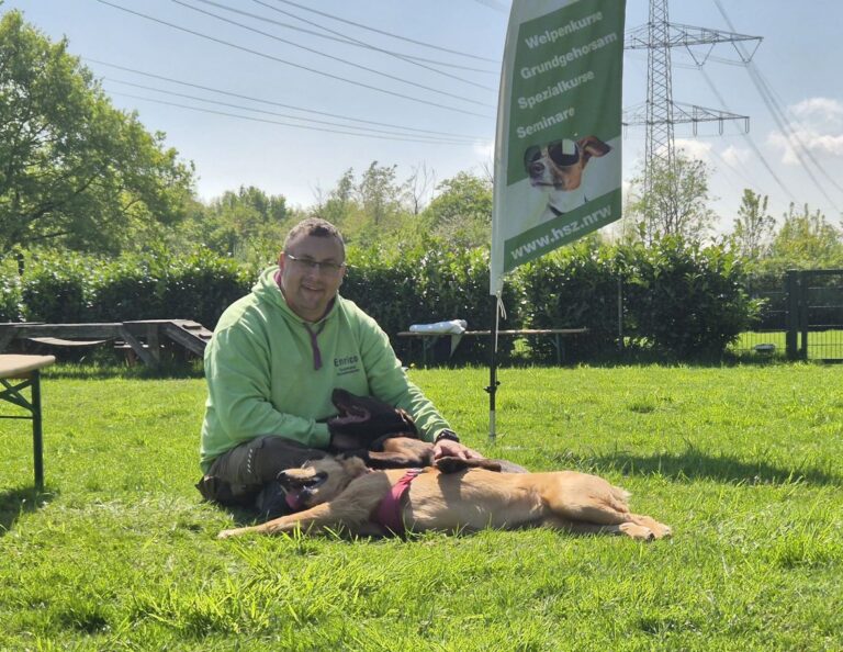 Verhaltensberatung / Problemhunde 6 WhatsApp Image 2025 06 05 at 17.16.51 e1749743572555