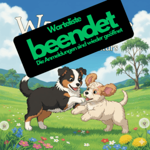 Aktuelles 19 beendet