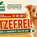 Hitzefrei