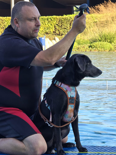 Verhaltensberatung / Problemhunde 19 media thumbnail 1